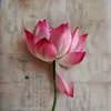 thao2010_000