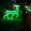thanhha6870