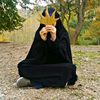maya_bini53