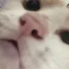 _ptquyn_