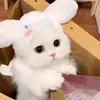 sok.heng62