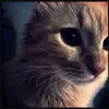 ._pimpek_