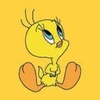 tweety_f