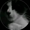 fx.teuz45