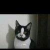 bruce.e16