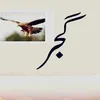 gujjer375