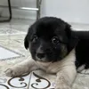 user3nwnvtst2m