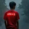 awais.tanoli72