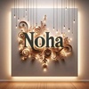 nohaahmed503