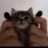 zzz_soso_