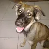 gpsthiago