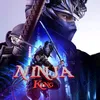 gaidenninja_2