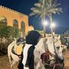 weesam_mazen