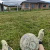 luka_10ttk