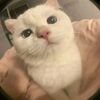 princessobena625