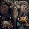 day_dreamer_0922