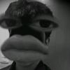 andreenova