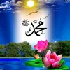 samar.tokaa