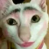 creemylatee3