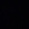 carrion_nico