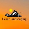 cesarazhardscaping