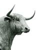 the_bullish_trader