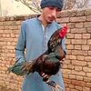 muhammadasjad321