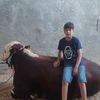136wsem