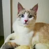 vito__81