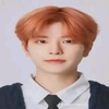 seungmindomino