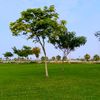 najla858