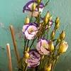 m.mum.mim