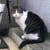 tenkichi10