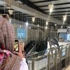 _farah_119_