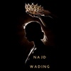 najd_wading