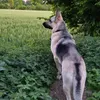 .akex1