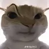 dukxemhosocuatoi
