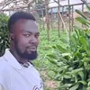 kamenyo5