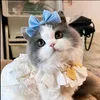 Blue and White Minot Puss