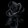 ch.zain.sandhu07