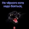 savchuk_oleg1