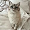 ji_8121