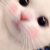 user3v99wiamlw