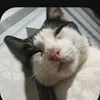 suynghitichcucdi