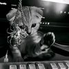 maksim_2004_rog