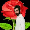 user03199689402