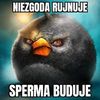 jurek3yy