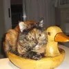 silvanachiuchiare