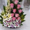 oum.noureddine