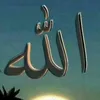 user2615397071863